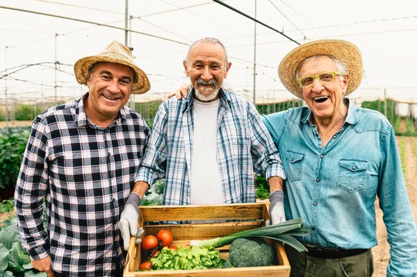 Quels sont les avantages de l'achat d'une propriété dans une coopérative d'habitation ?